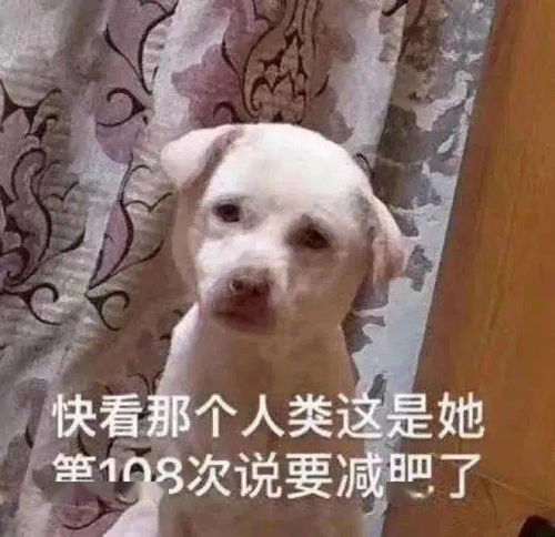 他们联手骗你,喝下了秋天的第一杯奶茶