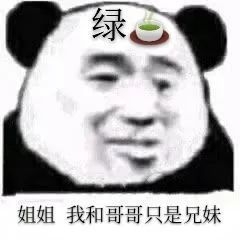  抖音表情包大全丨现在有三头猪正在对视