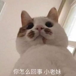 邓伦和杨幂的暧昧瓜,除了笨蛋还被我们扒出来超多暗戳的细节 邓伦和杨幂的暧昧瓜,除了笨蛋还被我们扒出来超多暗戳的细节