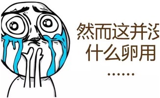  毁三观荷兰学车可以肉偿,报名人数激增
