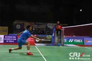 2014印度羽毛球公开赛李宗伟夺冠高清组图 2014印度羽毛球公开赛李宗伟夺冠高清组图