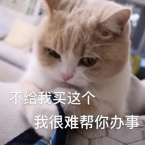  5.15什锦表情包
