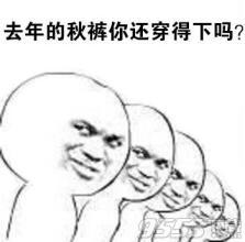  穿上秋裤就来撩你表情包你们开始穿秋裤了吗表情包下载乐游网游戏下载