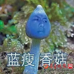  蓝瘦香菇表情包是什么梗香菇哥是谁这种听错词闹得笑话太多啦4