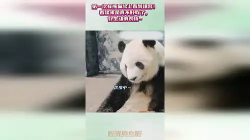第一次在熊猫脸上看到嫌弃看出来是真不好吃了,好生动的表情 第一次在熊猫脸上看到嫌弃看出来是真不好吃了,好生动的表情