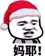  日本人有多爱熊猫竟然专门去广西为熊猫庆生简直是真爱啊