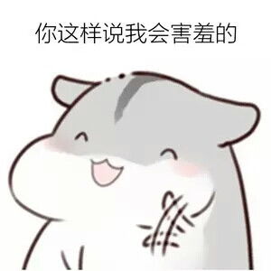  小仓鼠表情包