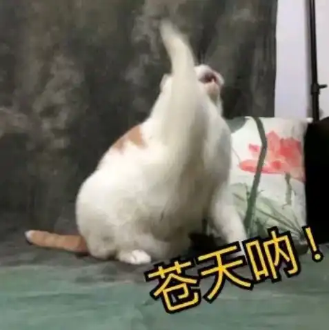 在最热猫咪表情包大合集速收 在最热猫咪表情包大合集速收