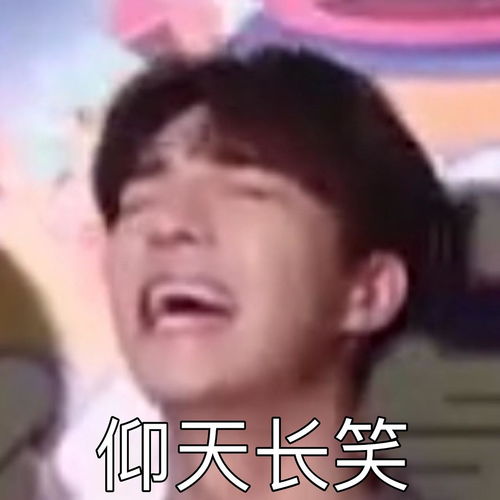  白汾酒npc成员进来收你们的表情包持更