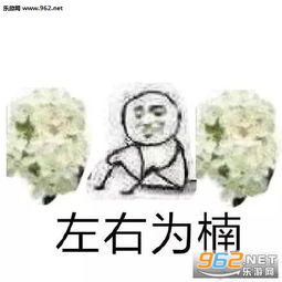 送你两把石楠花表情包石楠花系列表情包下载乐游网游戏下载 送你两把石楠花表情包石楠花系列表情包下载乐游网游戏下载
