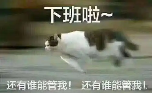 那个些无人可推的表情包1 那个些无人可推的表情包1