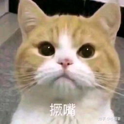  如何用表情包让对方住嘴
