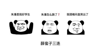  蚂蚁矿鸡x币圈表情包第二期再也不买币了