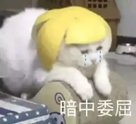 干货丨是时候捋一捋这些你不得不知的美白冷知识了文末有奖 干货丨是时候捋一捋这些你不得不知的美白冷知识了文末有奖