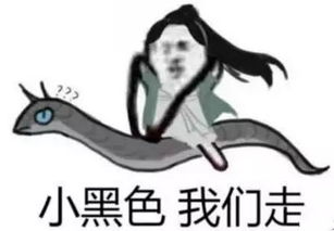  三强争霸墨大vs悉大vs澳国立你要为谁疯狂打电话