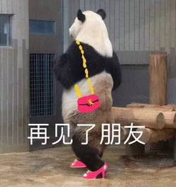  成年人的表演,你永远不能体会