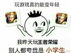  王者荣耀一键禁玩表情包下载,王者荣耀一键禁玩表情包高清完整版下载斗图v1.0网侠安卓软件站