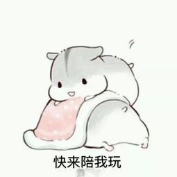 小仓鼠表情包