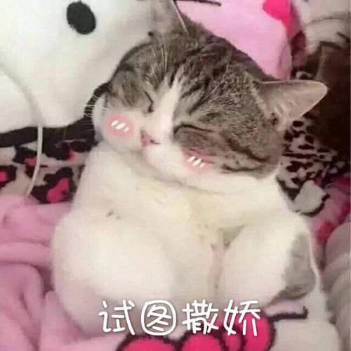  新年快乐有没有不怎么出门沉迷上分的电一小伙伴...