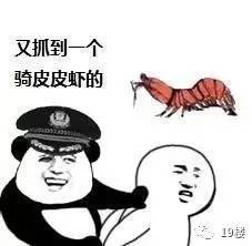  皮皮虾我们走到底是什么鬼,被刷屏了真心疼皮皮虾,被吃掉就算了,还要跨界成为表情包界的扛把子...搜狐汽车搜狐网