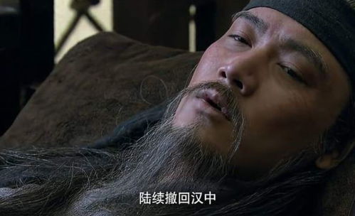  再读三国才明白,为何在诸葛亮去世后,会有一人仰天大笑