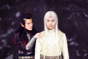  幻城烁罡迎来最终结局书亚信演大反派