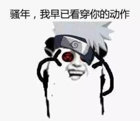 咬死你表情包过来