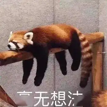 强啊表情包动物图片