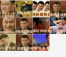  姚明表情包