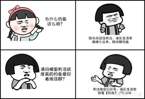  自制钓鲤鱼饵料配方两款水库钓鲤鱼实用鱼饵
