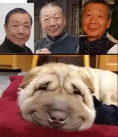 黄渤孙红雷万万没想到栽到了一条狗手里... 黄渤孙红雷万万没想到栽到了一条狗手里...