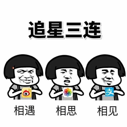  杂收藏夹
