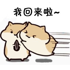  以后我罩你可爱表情包吓得我瓜子都飞了小仓鼠表情包下载乐游网游戏下载