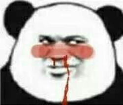 秃崽不是坏女人表情包