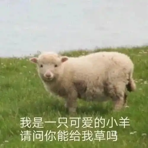  表情包图片大全孩子表情包动图0709期