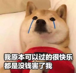  奶茶一杯快乐起飞快戳进来领取今日份的快乐