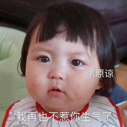  表情包我再也不惹你生气了,求原谅