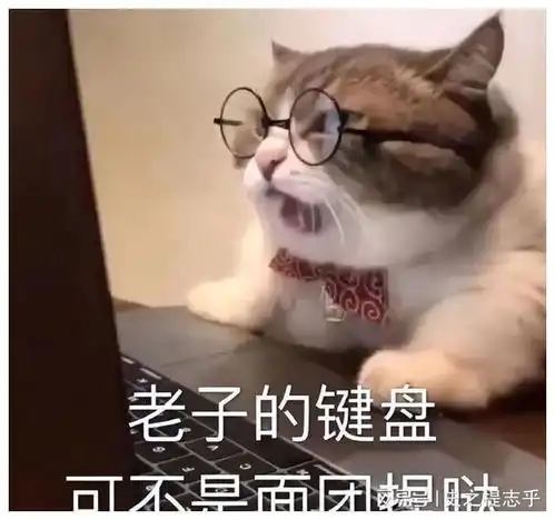 东契奇宣布离队,不屑3亿合同再见了 东契奇宣布离队,不屑3亿合同再见了