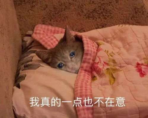 啊是恋爱的味道