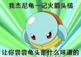斗图表情包乌龟杰尼龟