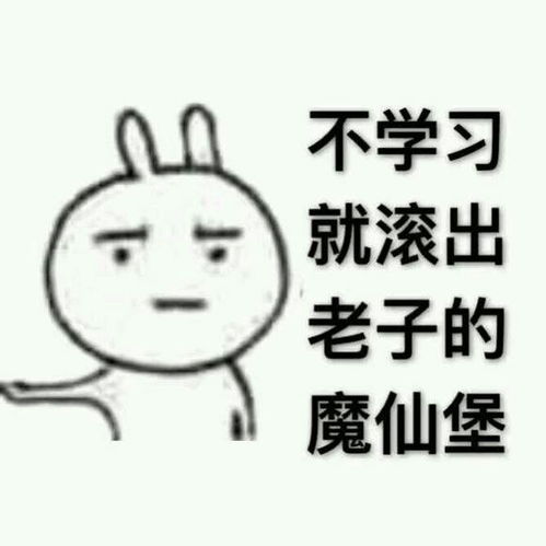  金华江北设计学习做美工有前途吗