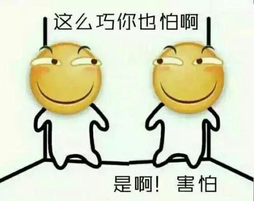  bnuzer互动惊现猫头鹰北师宿舍区一区更比一区高