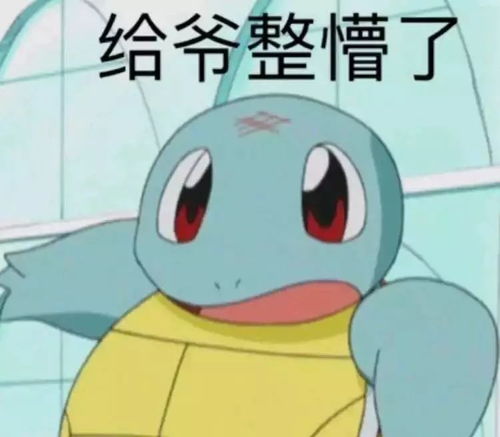  前方大量表情包出没杰尼龟咋就变成憨批代言人了
