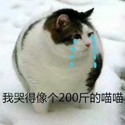  那些年我听过的be广播剧