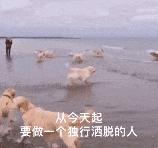  每日沙雕表情包