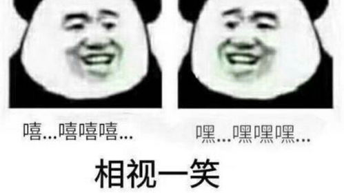  表情完结文总结表情