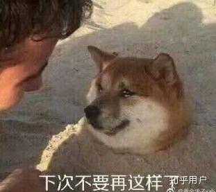  医妃逆天废柴大小姐多久更新一次