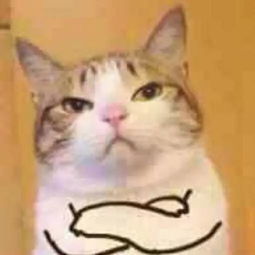 如何下载微信表情包猫叫