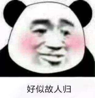  抖音小生不才未得姑娘青睐表情包分享扰姑娘良久姑娘勿怪表情包大全