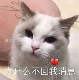  卡哇伊小仙女撩汉表情包想里,想里,满脑子都是里
